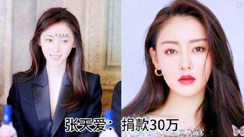 涿州明星网红捐款事件始末,真相与反思