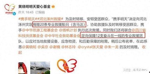 涿州明星网红捐款事件始末,真相与反思