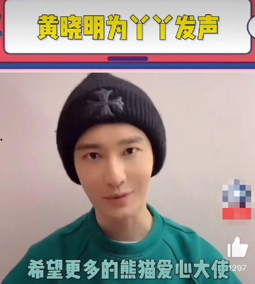 明星网红为熊猫丫丫发声