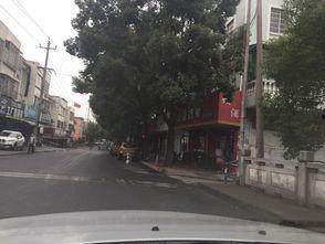 今日瓜沥商贸街,繁华市井，购物天堂的活力写照