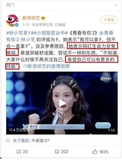 明星网红直播时间段,揭秘热门直播背后的秘密