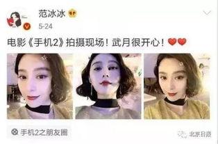 逃税明星网红视频合集下载,视频合集深度解析