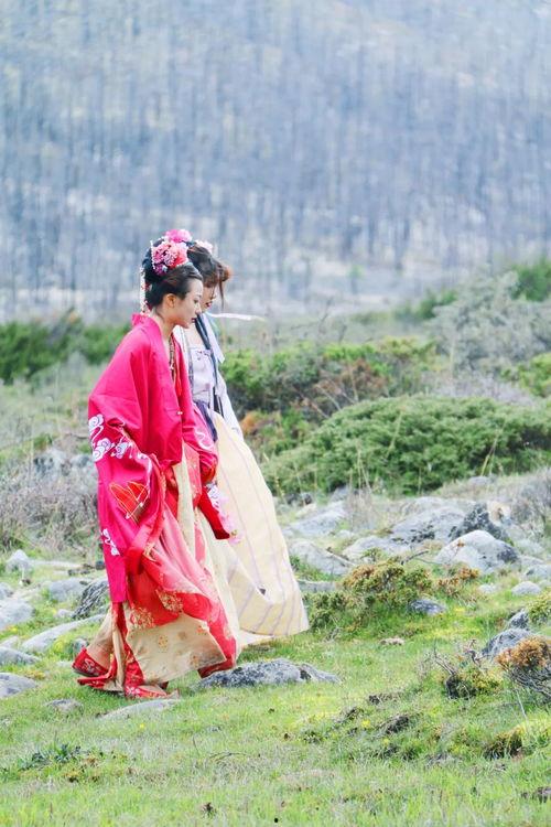 明星网红赏花是谁啊,一场视觉与心灵的盛宴