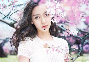 明星网红赏花是谁啊,一场视觉与心灵的盛宴