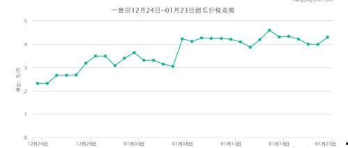 石门市场今日瓜价行情,今日瓜价行情一览