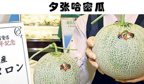 关于哈密瓜今日行情,供需分析及价格走势