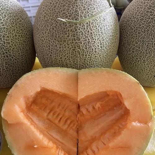 关于哈密瓜今日行情,供需分析及价格走势