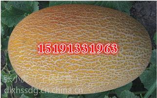 关于哈密瓜今日行情,供需分析及价格走势