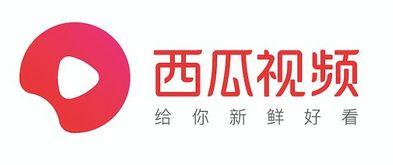 广州今日头条卖瓜,揭秘卖瓜背后的新鲜故事与趣味真相