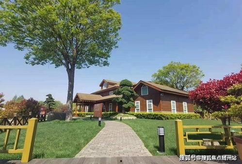 连云港今日鲜瓜价格查询,新鲜上市，价格实惠”