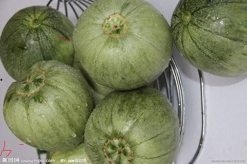 今日昌乐瓜王新闻,瓜王诞生，昌乐瓜产业再掀高潮