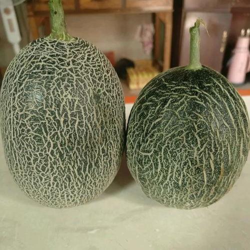 哈密瓜价格今日价格,市场行情一览”