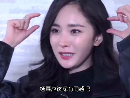 明星网红谁最火爆的