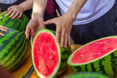 某大学今日吃瓜