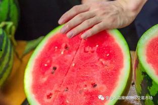 某大学今日吃瓜