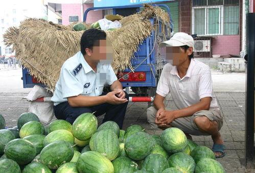 许昌市今日瓜价格,今日瓜价行情一览”