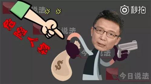 今日说法吃瓜路人甲,揭秘今日说法背后的故事