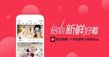 舟山瓜哥今日头条,揭秘今日头条背后的瓜哥传奇