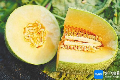 海南蜜瓜今日行情,甜蜜价格波动，市场供需动态解析