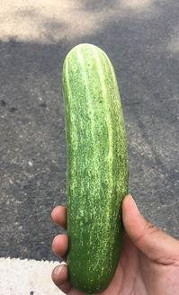 丽水今日热瓜事件真相揭秘,真相大白，还原事件始末