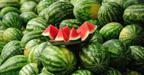 丽水今日热瓜事件真相揭秘,真相大白，还原事件始末