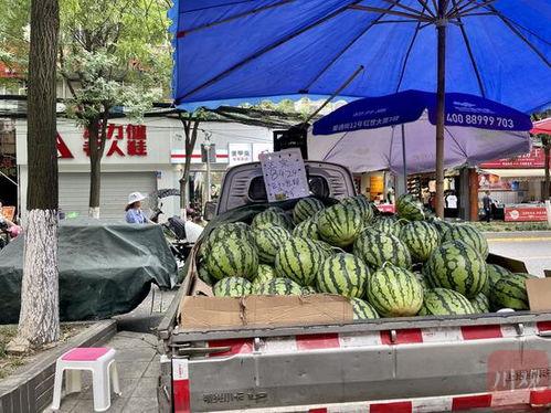今日吃瓜成都新闻,揭秘今日新闻背后的故事