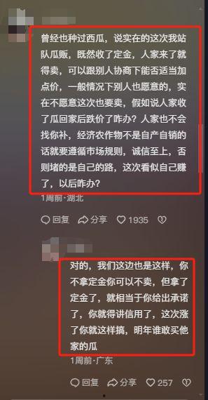 宁夏瓜贩子今日价格查询,宁夏瓜贩子今日价格一览