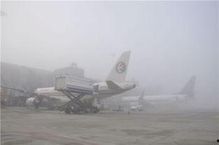 明星网红来成都双流机场,成都双流机场迎来明星网红打卡热潮