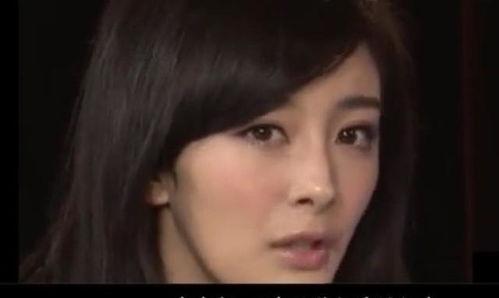 明星网红对骂事件真相,背后原因与影响全解析