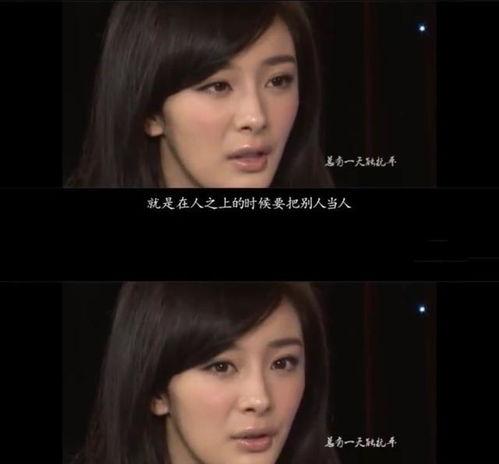 明星网红对骂事件真相,背后原因与影响全解析