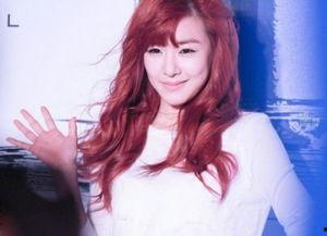 最近明星网红事情有哪些