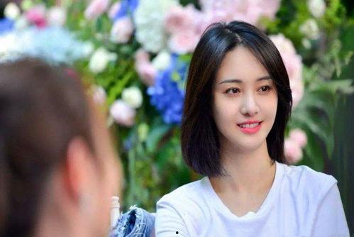 最近明星网红事情有哪些