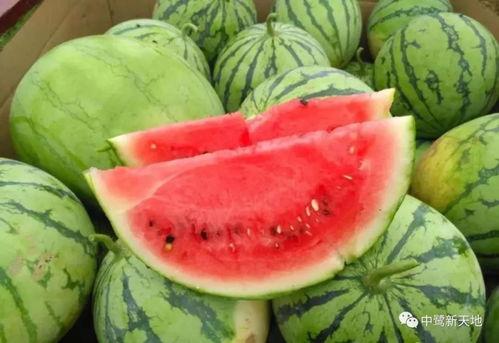 今日吃瓜状态,娱乐圈新鲜事大盘点