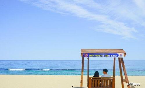 旅游景点明星网红,揭秘旅游景点明星网红热爱的秘境之旅