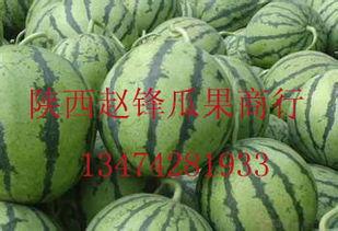 今日三亚哈密瓜批发价,品质佳受市场热捧