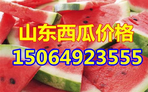 通海今日小瓜收购价格表