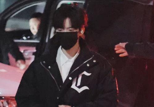 明星网红齐聚图片大全高清,高清明星网红齐聚盛典瞬间回顾”