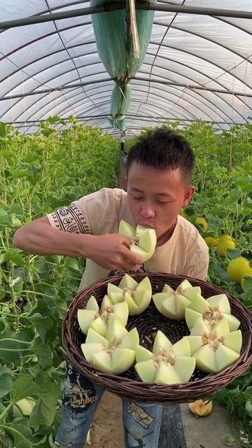 小喜瓜今日价格,市场行情一览”