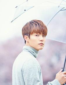 男明星网红背景图,揭秘男明星网红背后的魅力人生