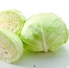 白瓜今日价格,白瓜市场动态一览