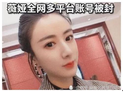 12月1日明星网红