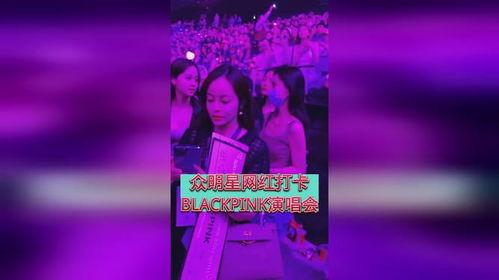 明星网红看演唱会,明星网红齐聚，狂欢之夜精彩瞬间