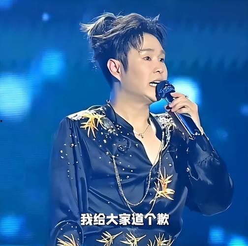 明星网红看演唱会,明星网红齐聚，狂欢之夜精彩瞬间