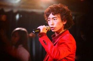 明星网红看演唱会,明星网红齐聚，狂欢之夜精彩瞬间