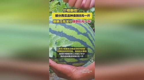 麒麟瓜山东今日多少钱一斤,多少钱一斤？