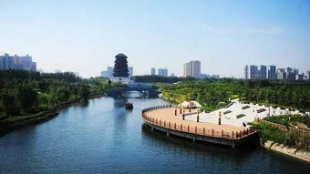 今日西安欣桥乳瓜价格