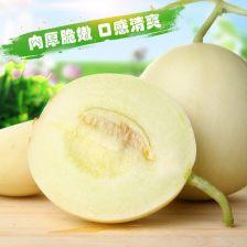 掌上瓜今日瓜沥