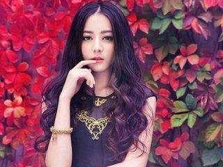 明星网红玩什么文玩好,盘点他们钟爱的文玩收藏