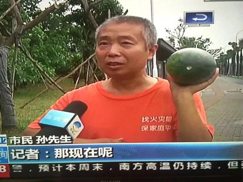 五一吃瓜群众今日吃瓜事件,盘点今日热门网络事件