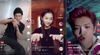 全网明星网红视频大全集,星光熠熠，精彩纷呈